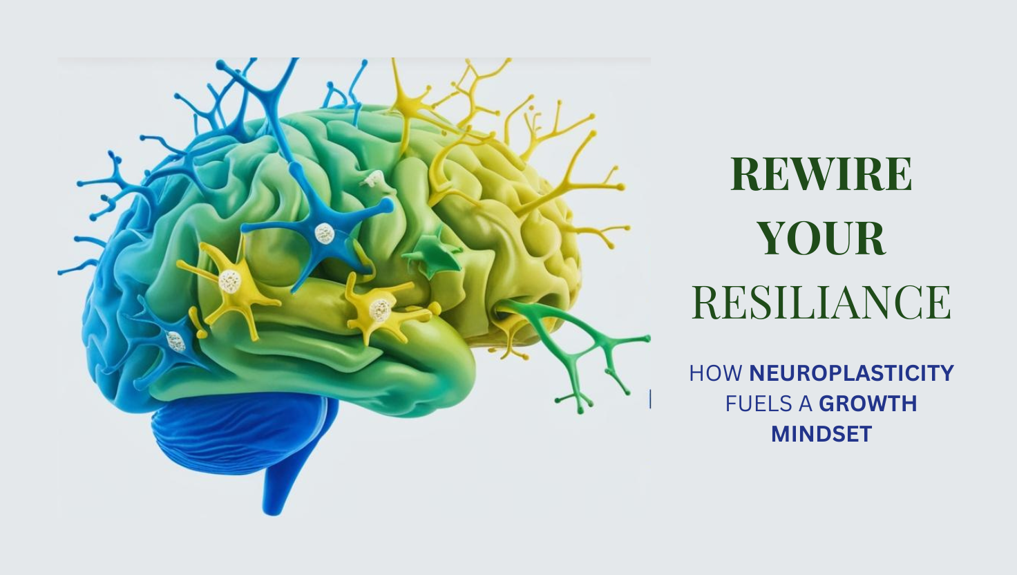 Rewire Your Resilience - Colorful brain with neural connections showing neuroplasticity and growth mindset